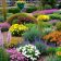 services-planting