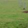 IMG_20260129_155738_298