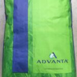 Semence gazon Adventa - Ardenne sport