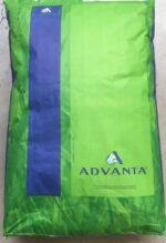 Semence gazon Adventa - Ardenne sport