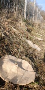 Toile de paillage en jute – Image 2